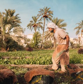 0a3b41143450817.627ac94f3f213