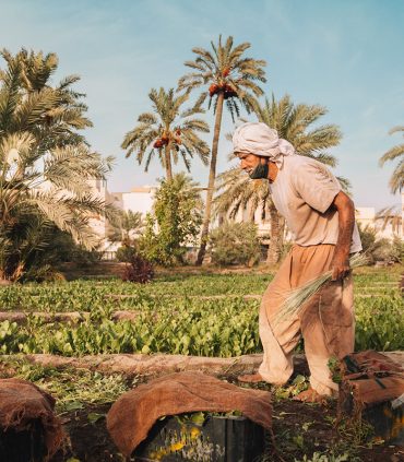 0a3b41143450817.627ac94f3f213